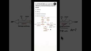 NEET PG #biochemistry MCQ || Hyperuricemia ||Salvage pathway || Purine catabolism