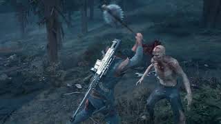 Days Gone altri cazzo di nidi sopravvivenza 2