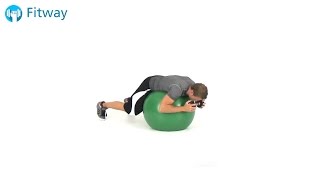 How To Do: Stability Ball Hyperextension - Dumbbell | Back Workout Exercise