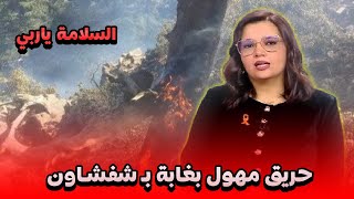 حريق مهول بغابة بإقليم شفشاون واستنفار كبير للسيطرة على النيران التفاصيل في أخبار المغرب 25/6/2024