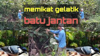 MIKAT GELATIK BATU PART 4