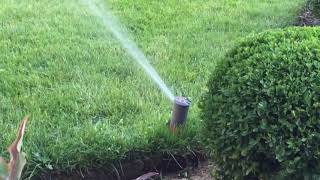 Gardena Sprinkler System in the summer