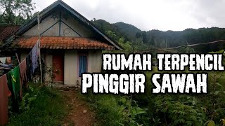 RUMAH TERPENCIL PINGGIR SAWAH ‼️KETEMU BOCIL DISAUNG