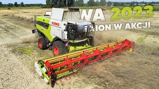 🇵🇱ŻNIWA RZEPAKU 2023 z BIZONEM! ☆ GR Rupniak ☆ CLAAS LEXION 6700 & BIZON ZO56 & VALMET 8550 ☆ AW ™