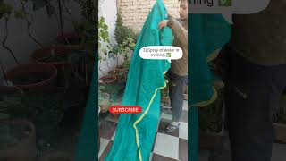 गर्मियो में पोधो में ये काम जरूर करे 🍀 #viral #gardening #houseplants #views