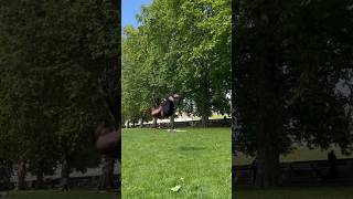 Had to train outside for the one day of summer #stunts #tricking #trickingcombo #flip #freerunning