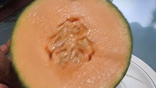 Melon Tokyo - Manis Crunchy - Ada Tekstur Semangka Jika Didinginkan #melon #melontokyo