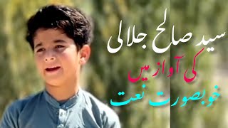 Syed Salih Jalali| Naat Rasool s.a| سید صالح جلالی |نعت رسول ص