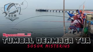 Mancing Baronang Monster, Tegek jadi Tumbal