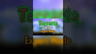 Gw menghabiskan 100 hari di Game terraria #terraria #shortvideo #terrariaexpert