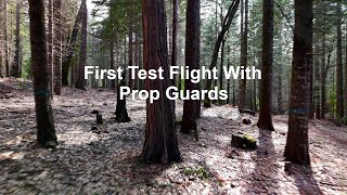 First Test Flight with Prop Guards