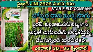 తేజ సిగ్మెంట్ కి చెందిన jini 2626 || jini 2626 virus tolerance hybrid chilli || #jini2626 #2043