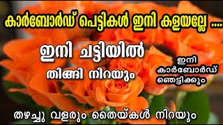 കാർബോർഡ് പെട്ടികൾ ഇനി കളയണ്ട ചട്ടിയിൽ തിങ്ങി നിറയും 😱malayalam