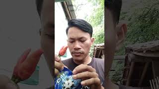 #shorts Makan OREO mini pake cabe rawit #trending #tiktok