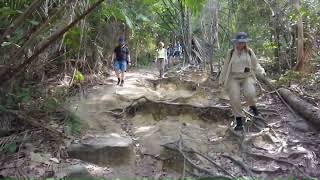 Jungle hike Penang