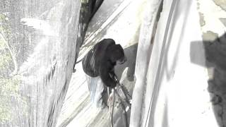 S5_USA Quito_Cement Mortar.wmv