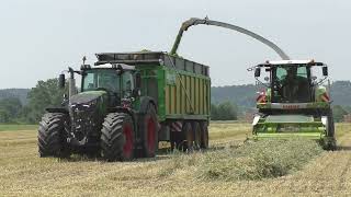 Claas Jaguar 960 mit Vorsatz  PICK UP 300 Meter Triticale Häckseln Martin Tauschmann von der IKT Bio