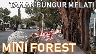 Walking : Taman Bungur Melati, Malang, Indonesia ASMR Nature Audio