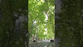 IRAN - Walking In tajrish Street on Tehran 2022 | relaxing video #shorts