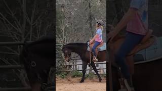 horse games vs actual riding #horse #etg #horsebackriding