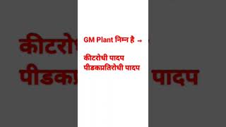 GM Plants ,#shorts ,#Viral #trending video