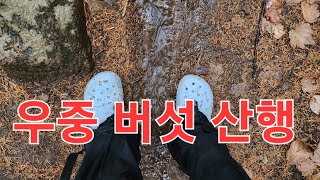 우중 버섯 산행