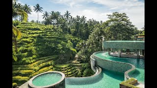 Visiting the best day club in Bali - Cretya Ubud 😍😍#shorts