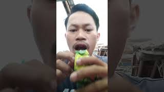 #shorts Makan pilus arab #trending #tiktok