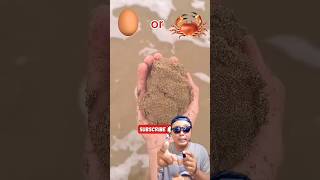 TELUR ATAU KEPITING ‼️ #egg #funny #challenge #challengeseru #shorts #reaction