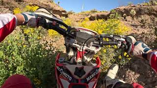 Arizona WildCat OHV - Singletrack Exploration