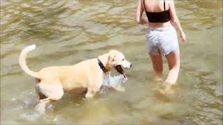 The boys first river swim!