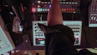 behringer RD-9 meets RD-8 No Talking * Alpha Cats