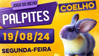 PALPITE DO DIA 01/01/2024 - JOGO DO BICHO 🍀 TODAS AS LOTERIAS 🍀