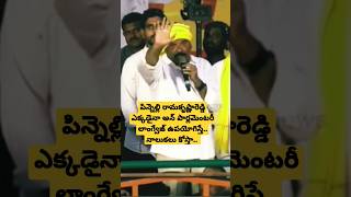 పిన్నెల్లి అన్ పార్లమెంటరీ లాంగ్వేజ్ ఉపయోగిస్తే. నాలుకలు కోస్తా! Yarapathineni srinivasa rao