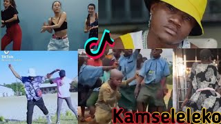 Mbosso Ft Baba Levo - Kamseleleko (Tiktok Dance Challenge)