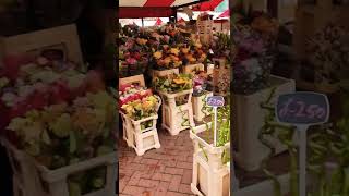 Northampton Market flowers shopping #flowers #northamptonshire #london #travelvlog