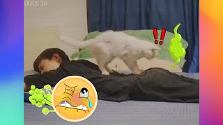 【FUNNY VIDEO】This is Happens When You Fart at Your Cat😅