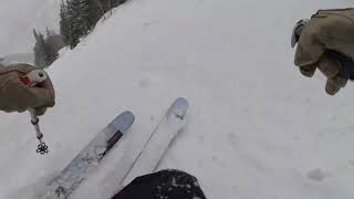 Powder Tree Skiing in Aspen 2/7/24