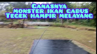 SAMBARAN MONSTER IKAN GABUS‼️JORAN HAMPIR MELAYANG‼️ #fishing #monster #snakehead