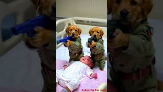 Two puppies with guns protecting a baby  #shorts #doglover