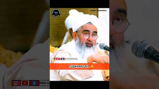 Huzur ﷺ Irshad Farmate Hain💯         Maulana Shakir Ali Noori #viral short #yt short#trending video