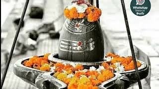 Lord Siva WhatsApp Status Video .. Om Namah Shivaya .. ఓం నమః శివాయ ..