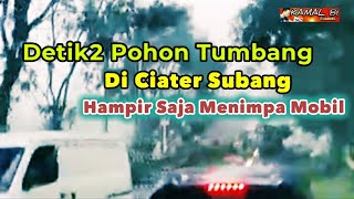 Detik Detik ‼️Pohon Tumbang Di Ciater Subang