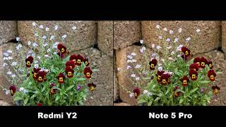 Xiaomi Redmi Y2 Vs Redmi Note 5 Pro Camera Comparison