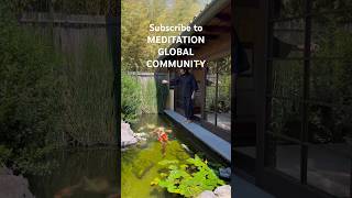 Feeding Fish in Japanese Garden #mindfulness #motivation #meditation