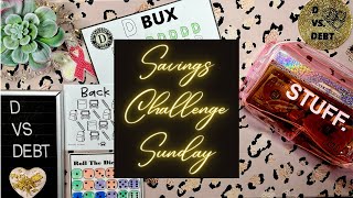 Savings Challenge Sunday: added 2 more challenges and a cute bank bag 🤑