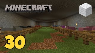 Minecraft Survival EP. 30 - FARM DI PECORE COLORATE (Parte 1)