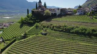 Apfelblüte unter dem St. Jakob Hügel in Tramin