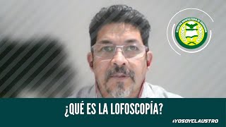 ¿Qué es la lofoscopía?