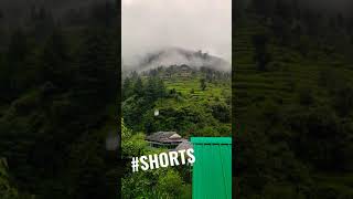 What a view in Jibhi #jibhi #shorts #shortvideos